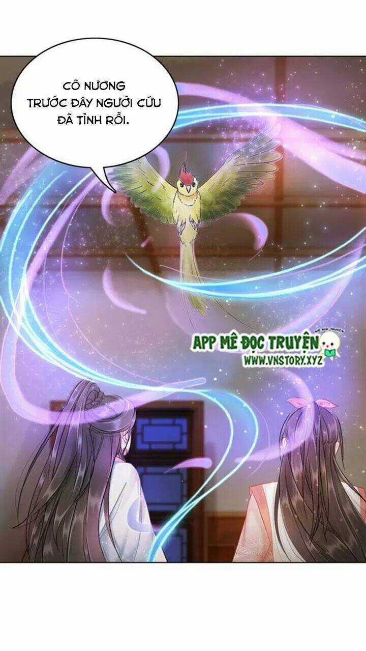 Cực Phẩm Phế Vật Tiểu Thư Chapter 80 trang 32