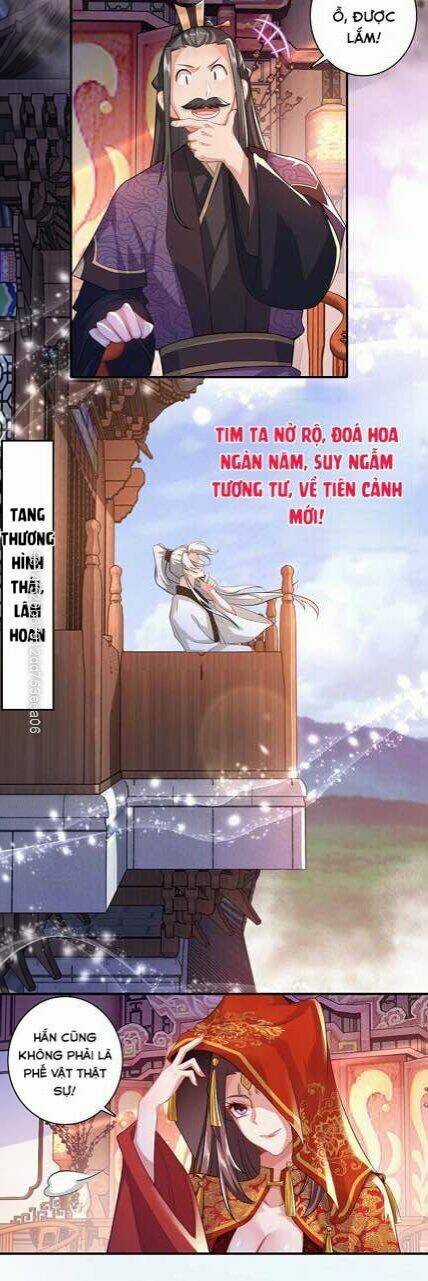 Cực Phẩm Tiên Đế Chapter 14 trang 3