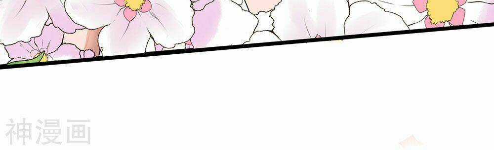 Cực Phẩm Tiên Y Chapter 1 trang 7