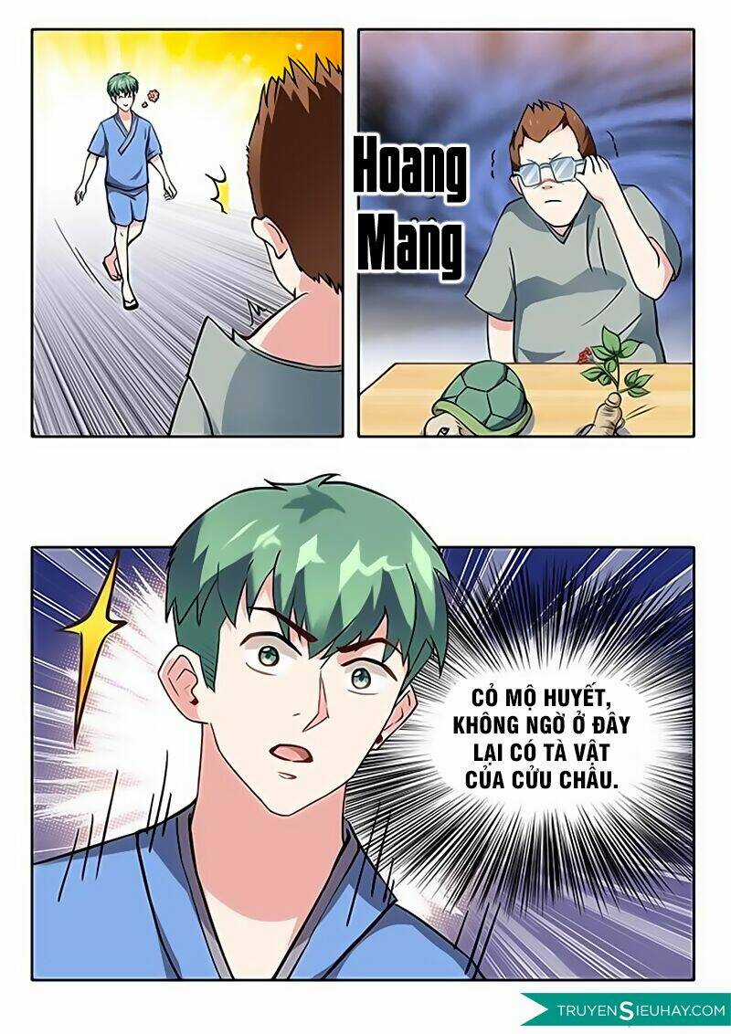 Cực Phẩm Tu Chân Thiếu Niên Chapter 8 trang 2