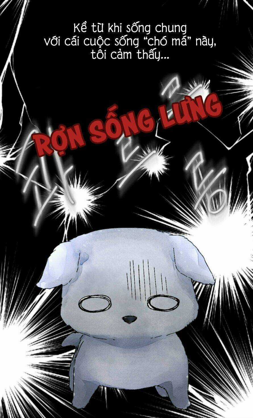 Cún Con Đáng Yêu Của Vị Hoàng Đế! Chapter 0 trang 19