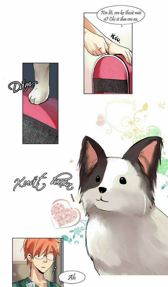 Cưng À! Chỉ Có Anh Không Biết Thôi! Chapter 22 trang 12