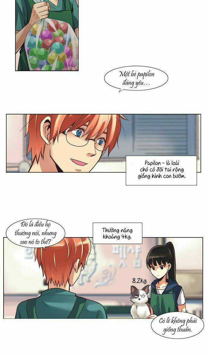 Cưng À! Chỉ Có Anh Không Biết Thôi! Chapter 22 trang 13