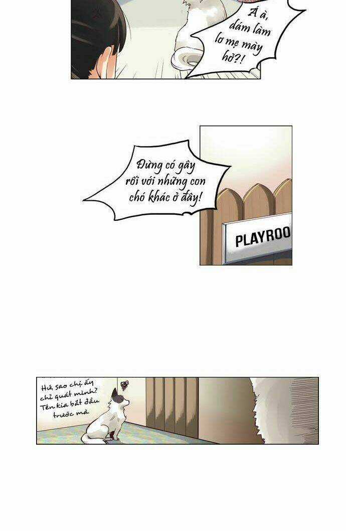 Cưng À! Chỉ Có Anh Không Biết Thôi! Chapter 22 trang 15