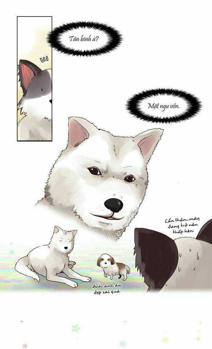 Cưng À! Chỉ Có Anh Không Biết Thôi! Chapter 22 trang 16