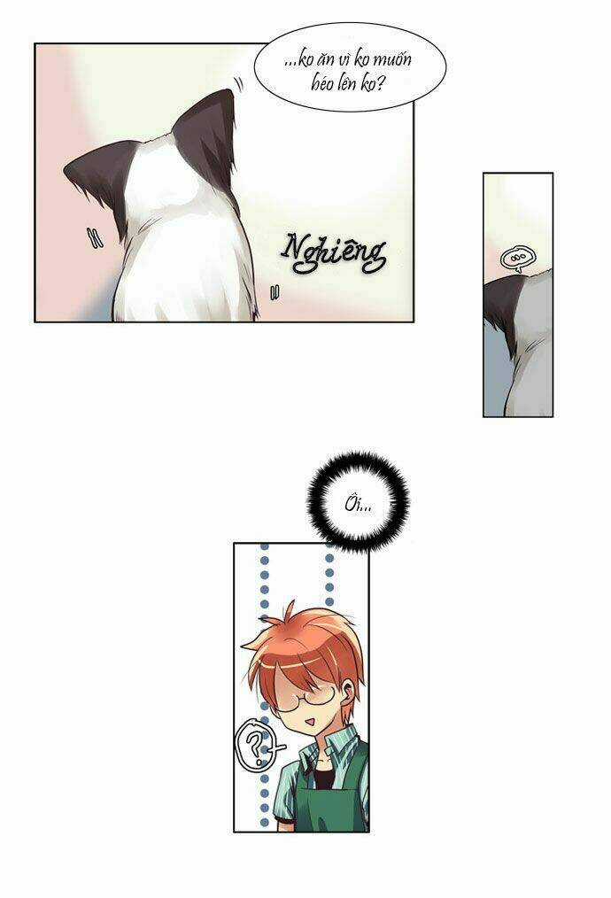 Cưng À! Chỉ Có Anh Không Biết Thôi! Chapter 24 trang 13