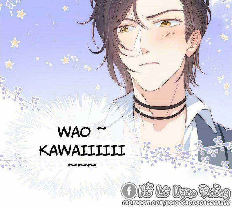 Cưng Chiều Đại Lão 3 Tuổi Rưỡi Chapter 0.5 trang 14