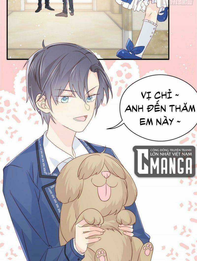 Cưng Chiều Đại Lão 3 Tuổi Rưỡi Chapter 12 trang 14