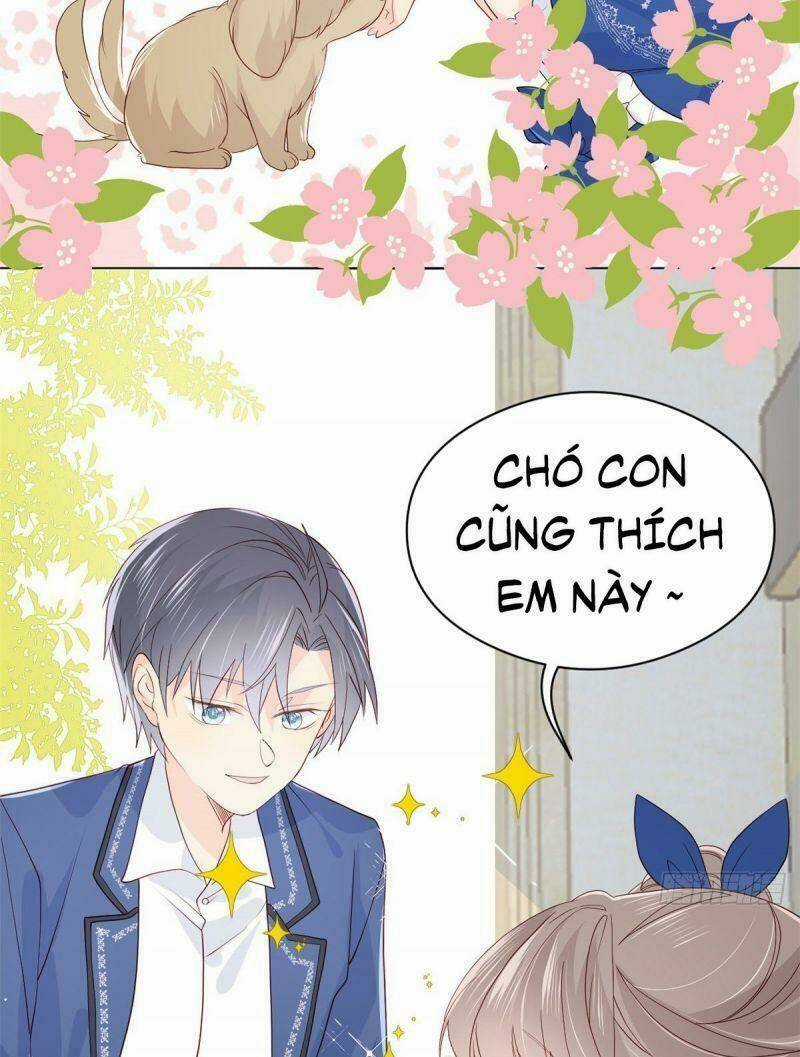 Cưng Chiều Đại Lão 3 Tuổi Rưỡi Chapter 12 trang 18