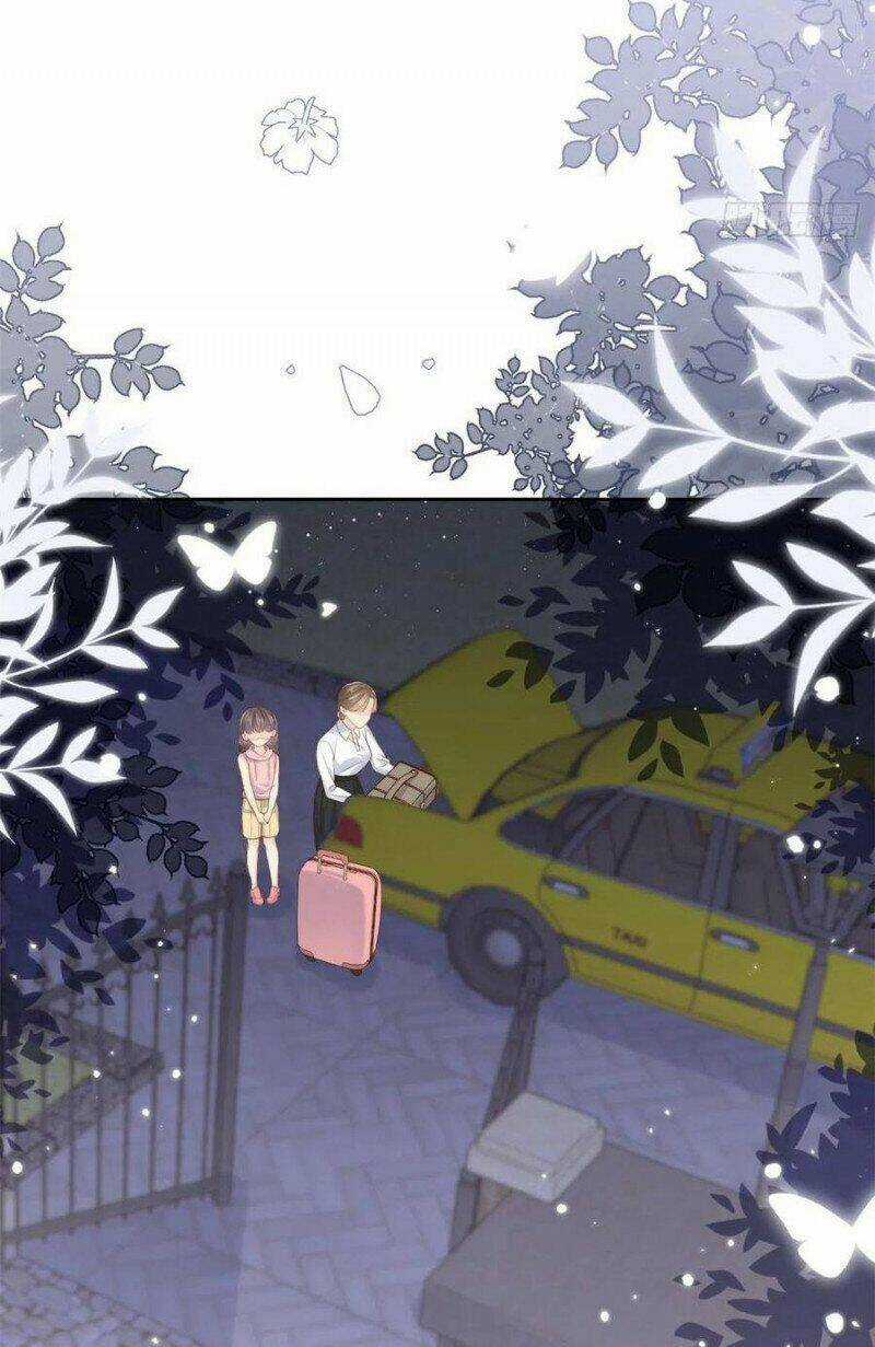 Cưng Chiều Đại Lão 3 Tuổi Rưỡi Chapter 152 trang 5