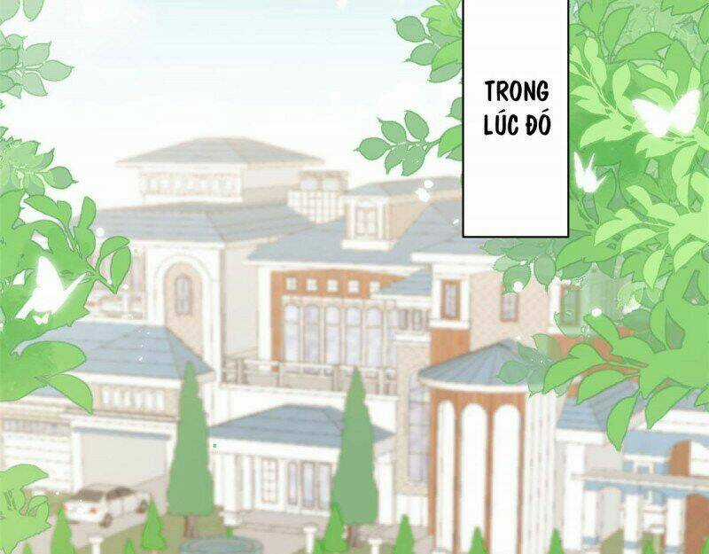 Cưng Chiều Đại Lão 3 Tuổi Rưỡi Chapter 162 trang 61