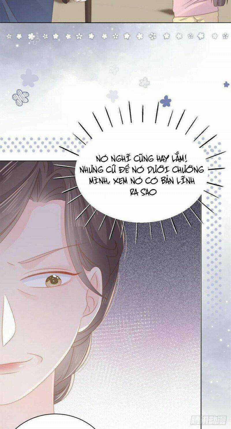 Cưng Chiều Đại Lão 3 Tuổi Rưỡi Chapter 164 trang 7