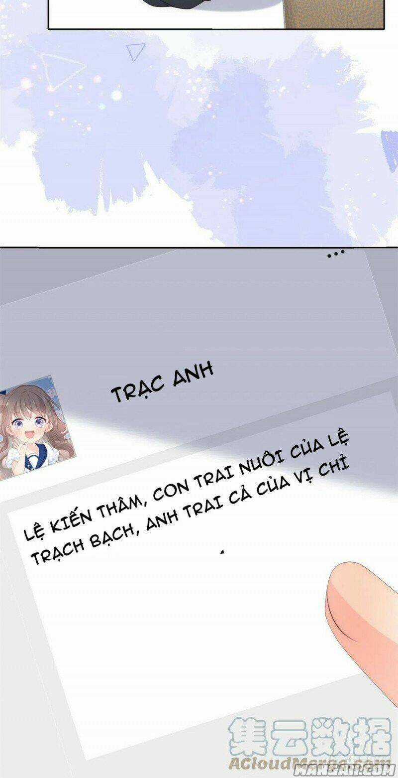 Cưng Chiều Đại Lão 3 Tuổi Rưỡi Chapter 169 trang 15