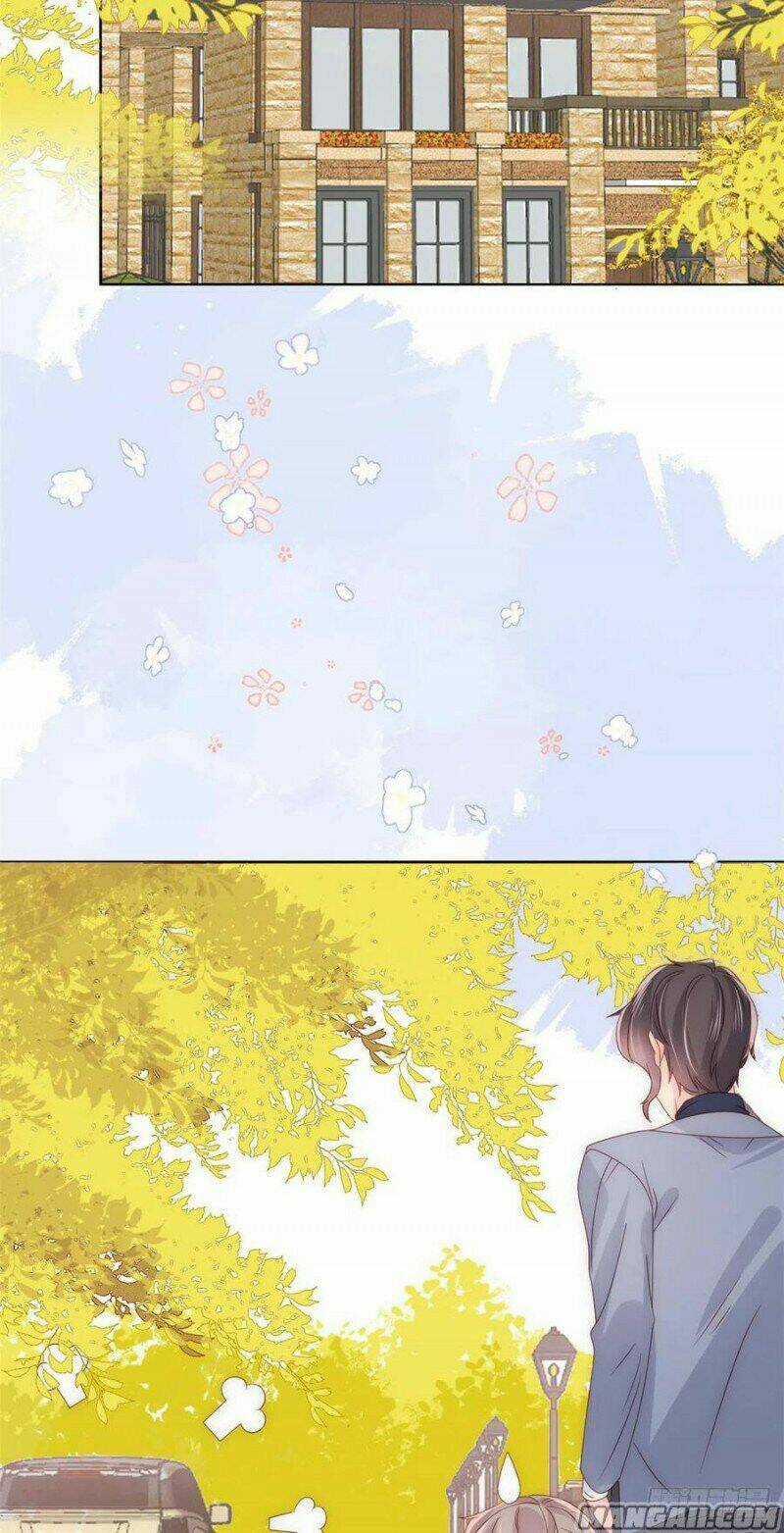 Cưng Chiều Đại Lão 3 Tuổi Rưỡi Chapter 169 trang 4