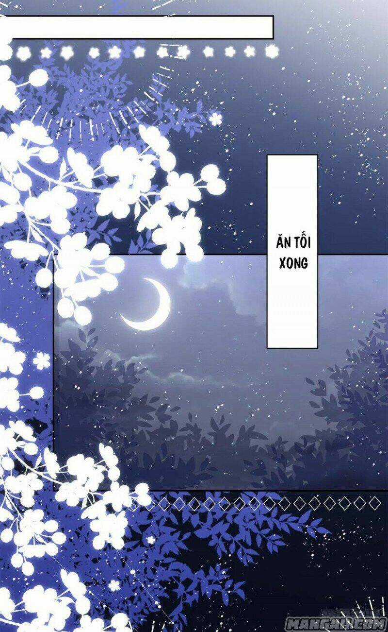 Cưng Chiều Đại Lão 3 Tuổi Rưỡi Chapter 170 trang 15