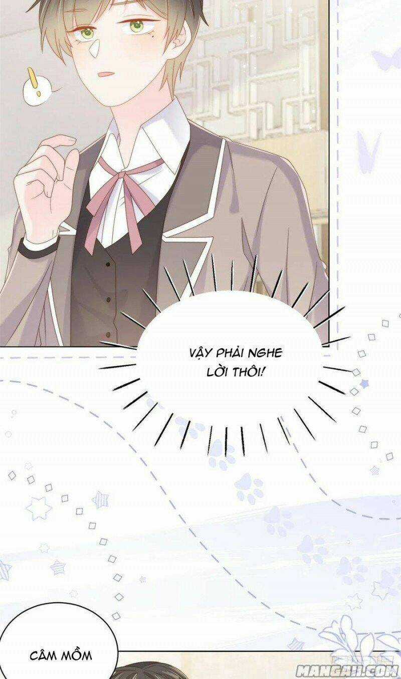 Cưng Chiều Đại Lão 3 Tuổi Rưỡi Chapter 172 trang 20