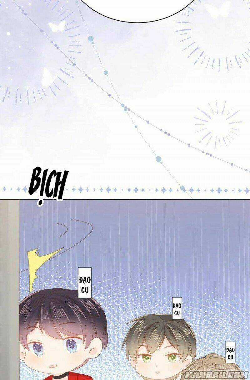 Cưng Chiều Đại Lão 3 Tuổi Rưỡi Chapter 173 trang 14