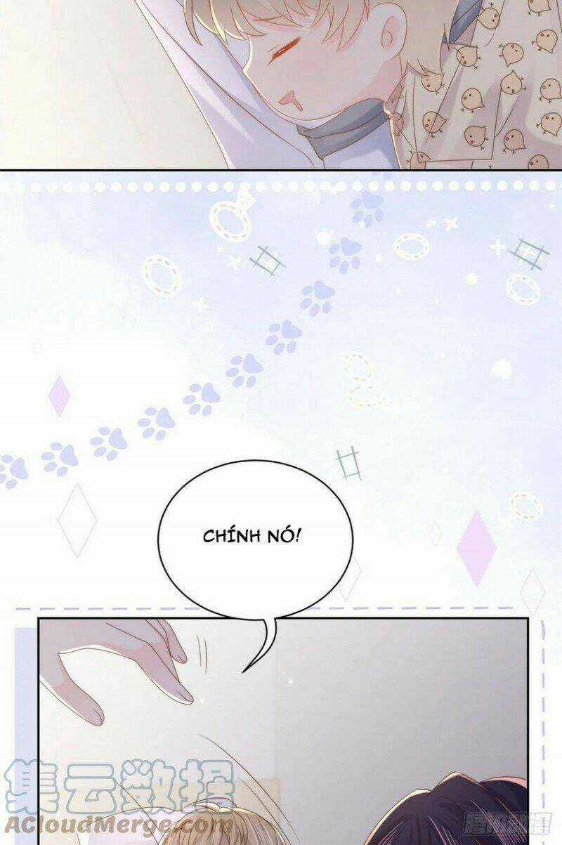 Cưng Chiều Đại Lão 3 Tuổi Rưỡi Chapter 175 trang 3