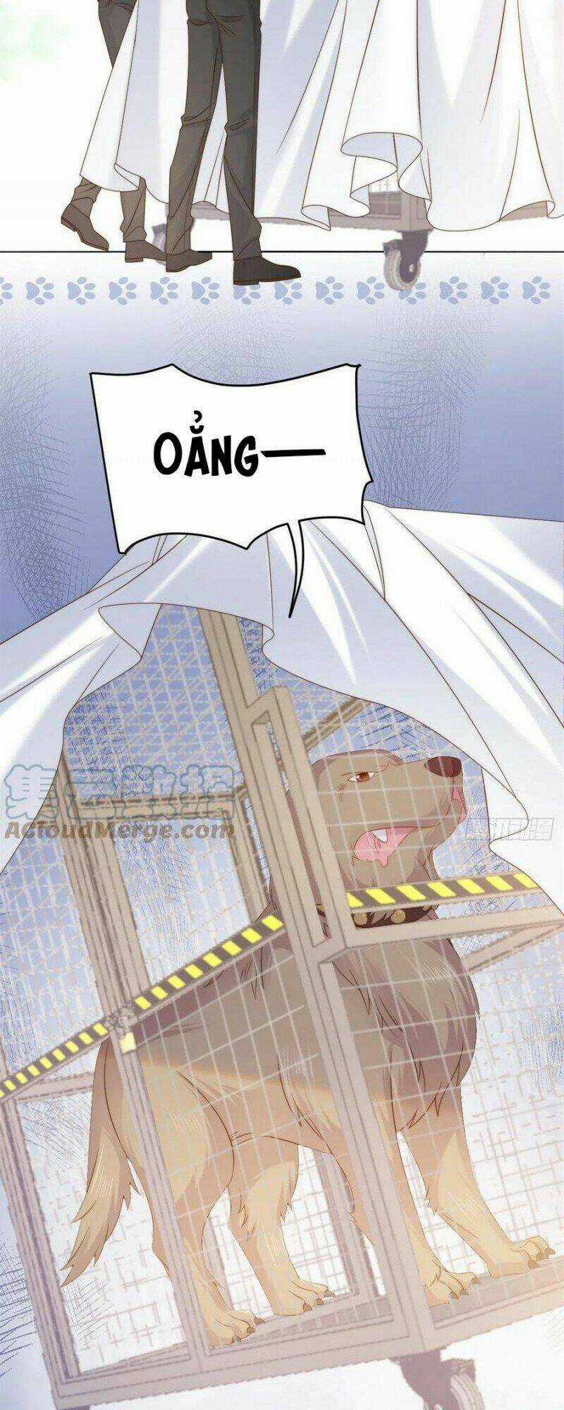 Cưng Chiều Đại Lão 3 Tuổi Rưỡi Chapter 179 trang 13