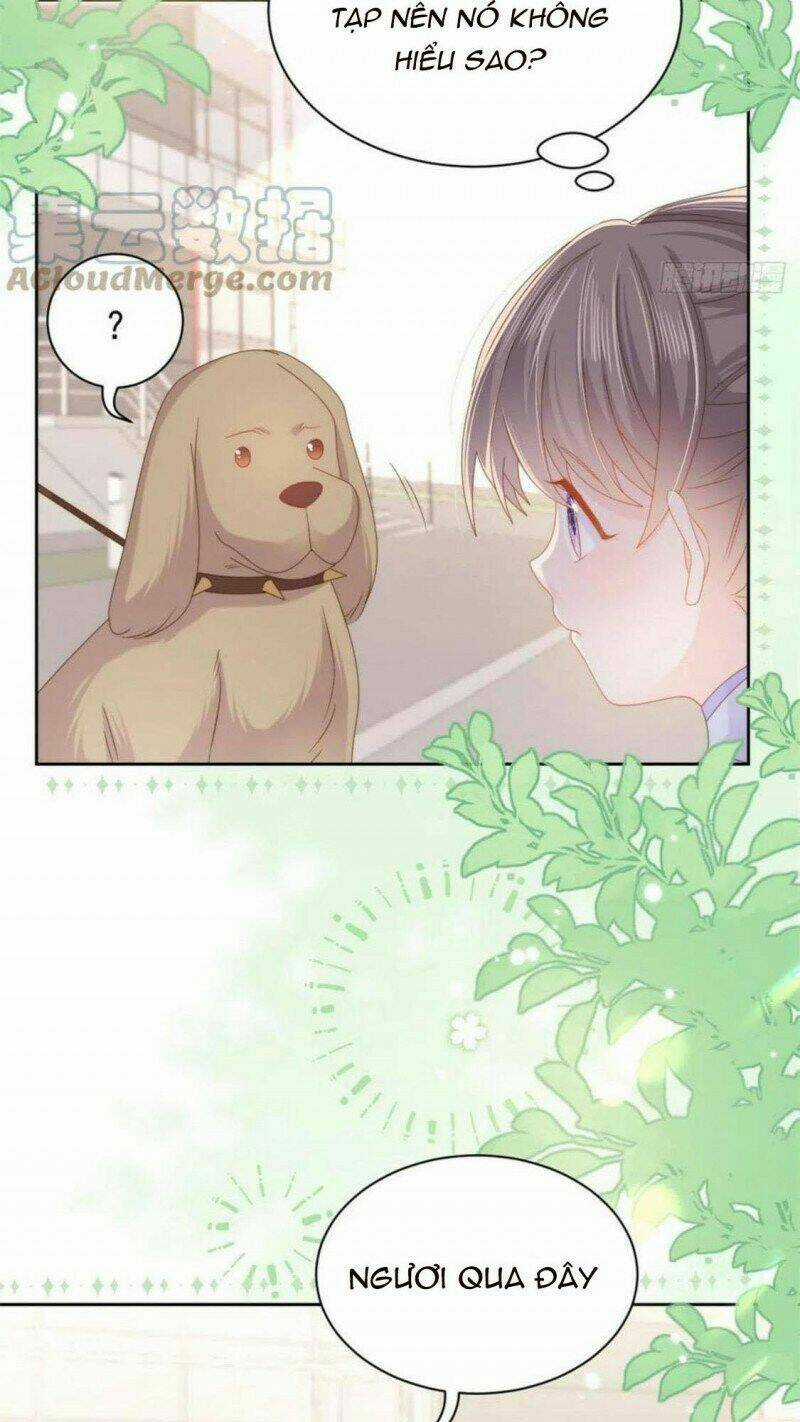 Cưng Chiều Đại Lão 3 Tuổi Rưỡi Chapter 181 trang 12