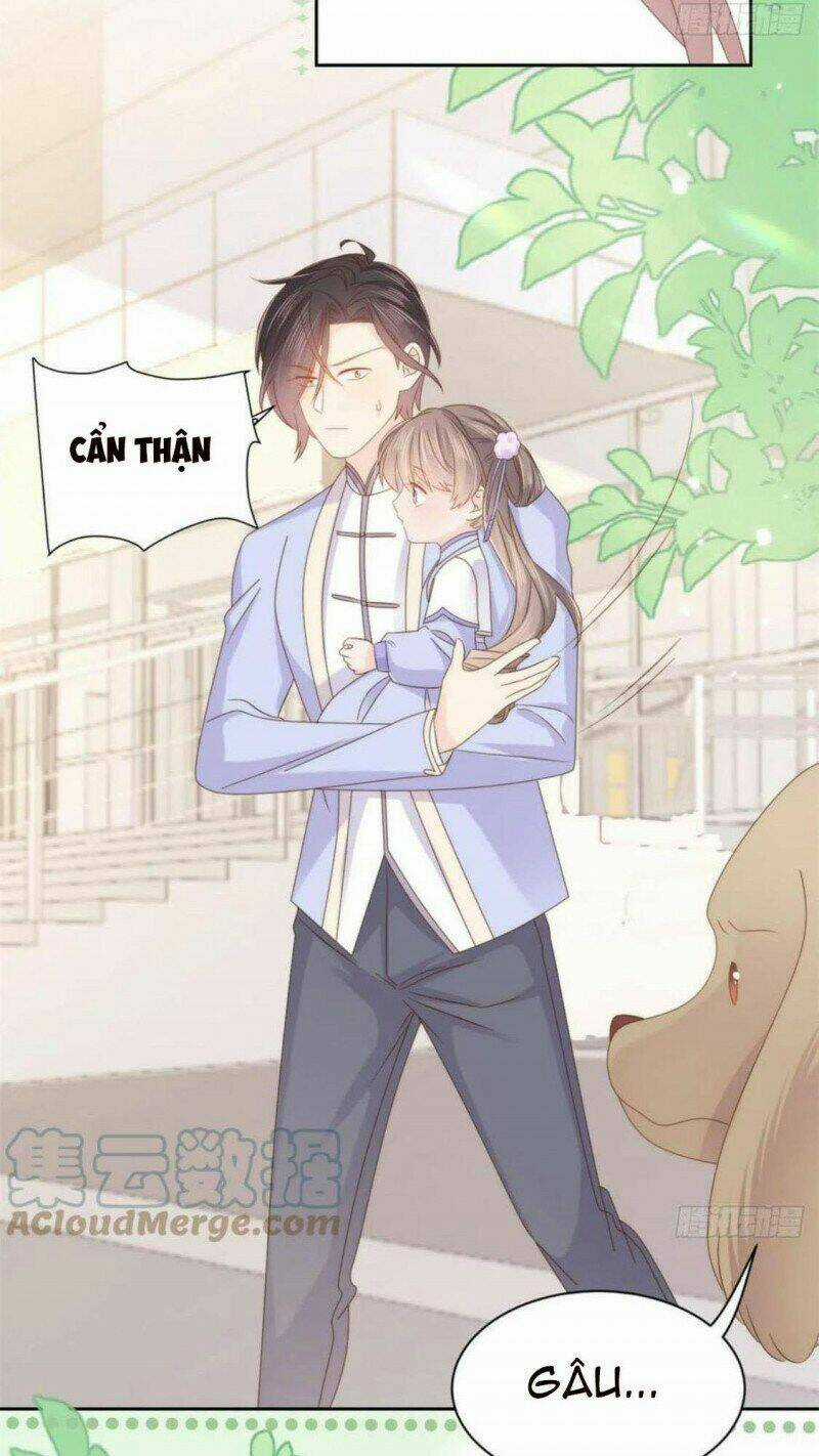 Cưng Chiều Đại Lão 3 Tuổi Rưỡi Chapter 181 trang 14