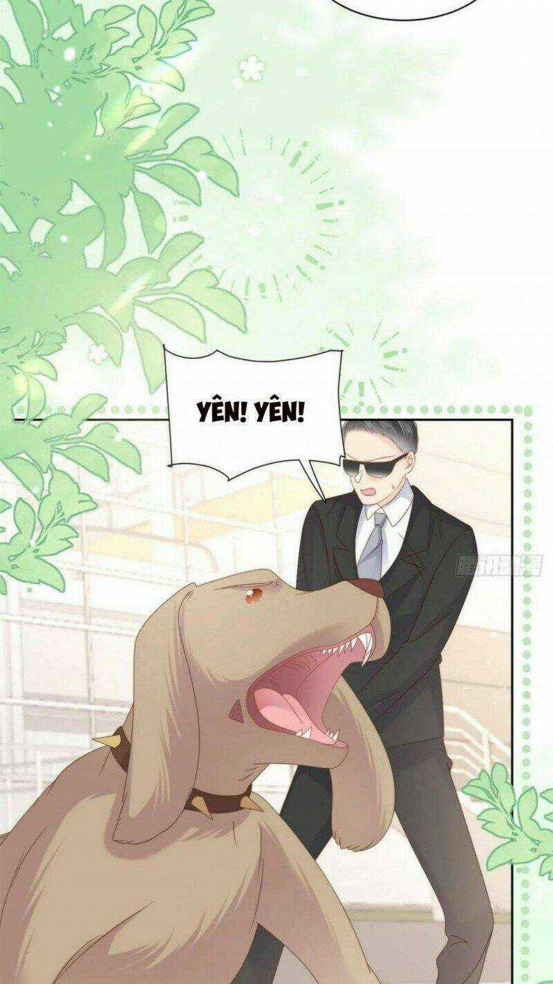 Cưng Chiều Đại Lão 3 Tuổi Rưỡi Chapter 181 trang 15