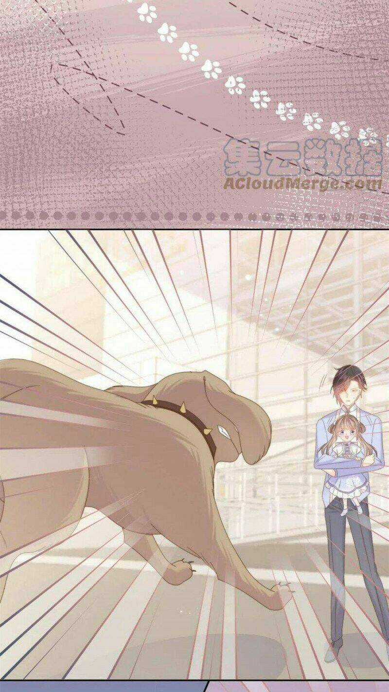 Cưng Chiều Đại Lão 3 Tuổi Rưỡi Chapter 181 trang 17