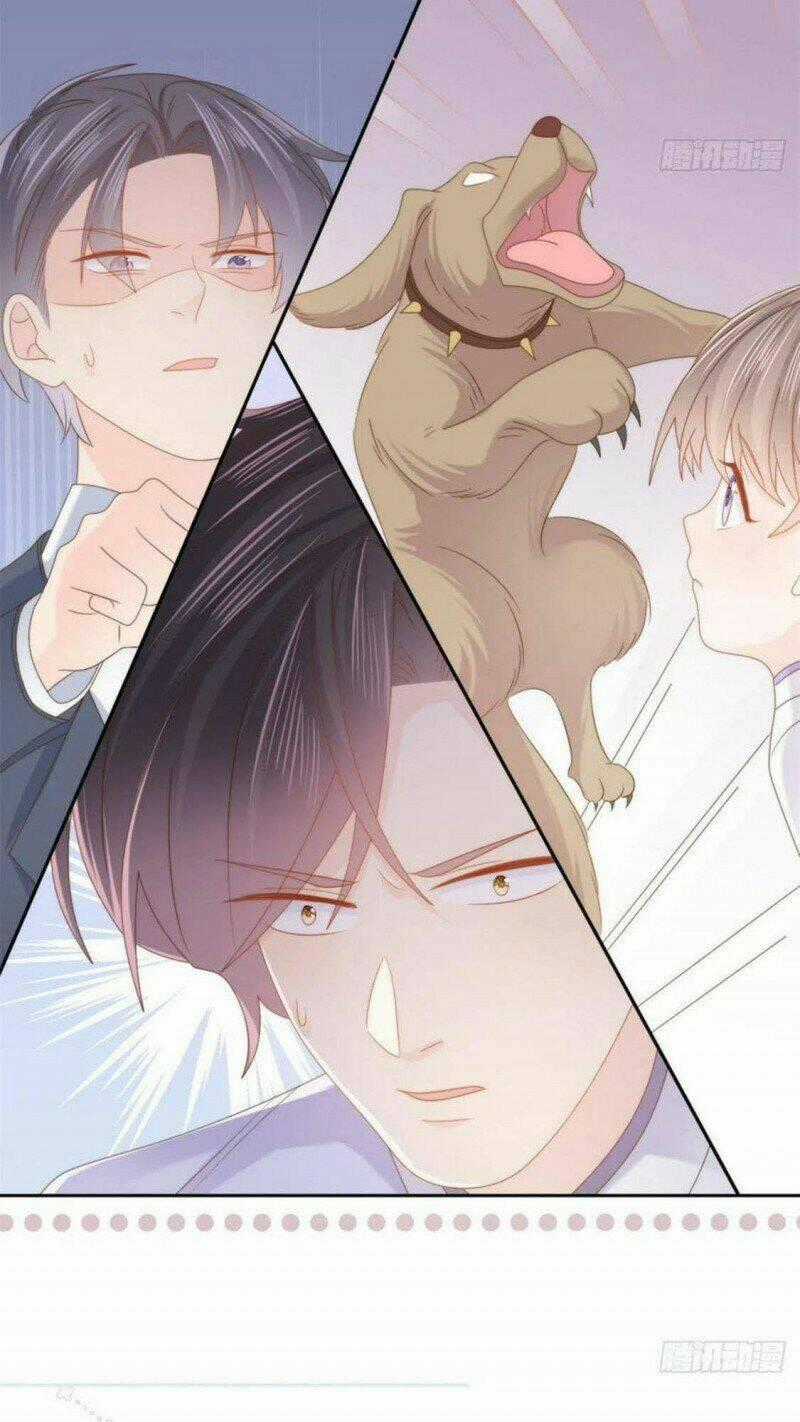 Cưng Chiều Đại Lão 3 Tuổi Rưỡi Chapter 181 trang 18