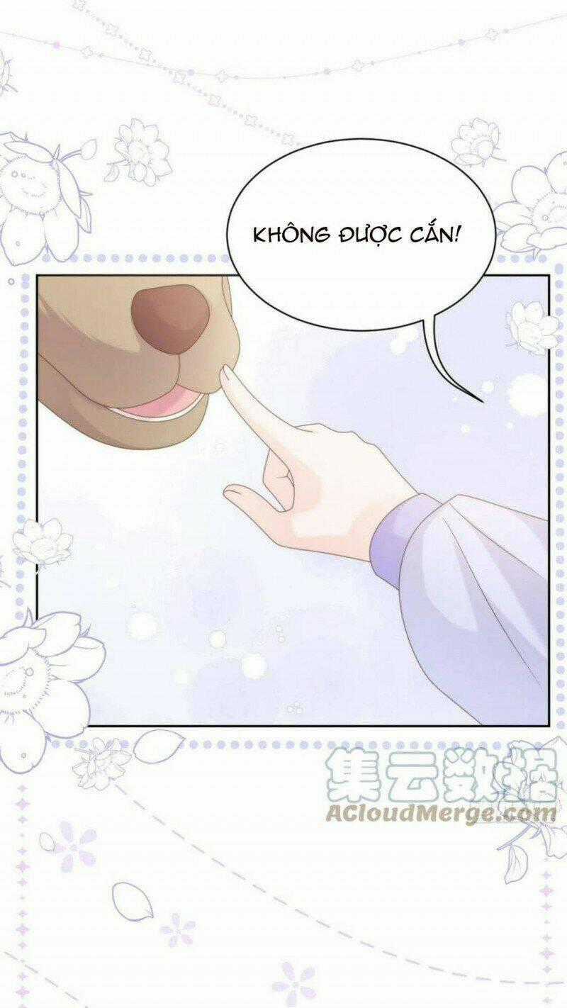 Cưng Chiều Đại Lão 3 Tuổi Rưỡi Chapter 181 trang 19