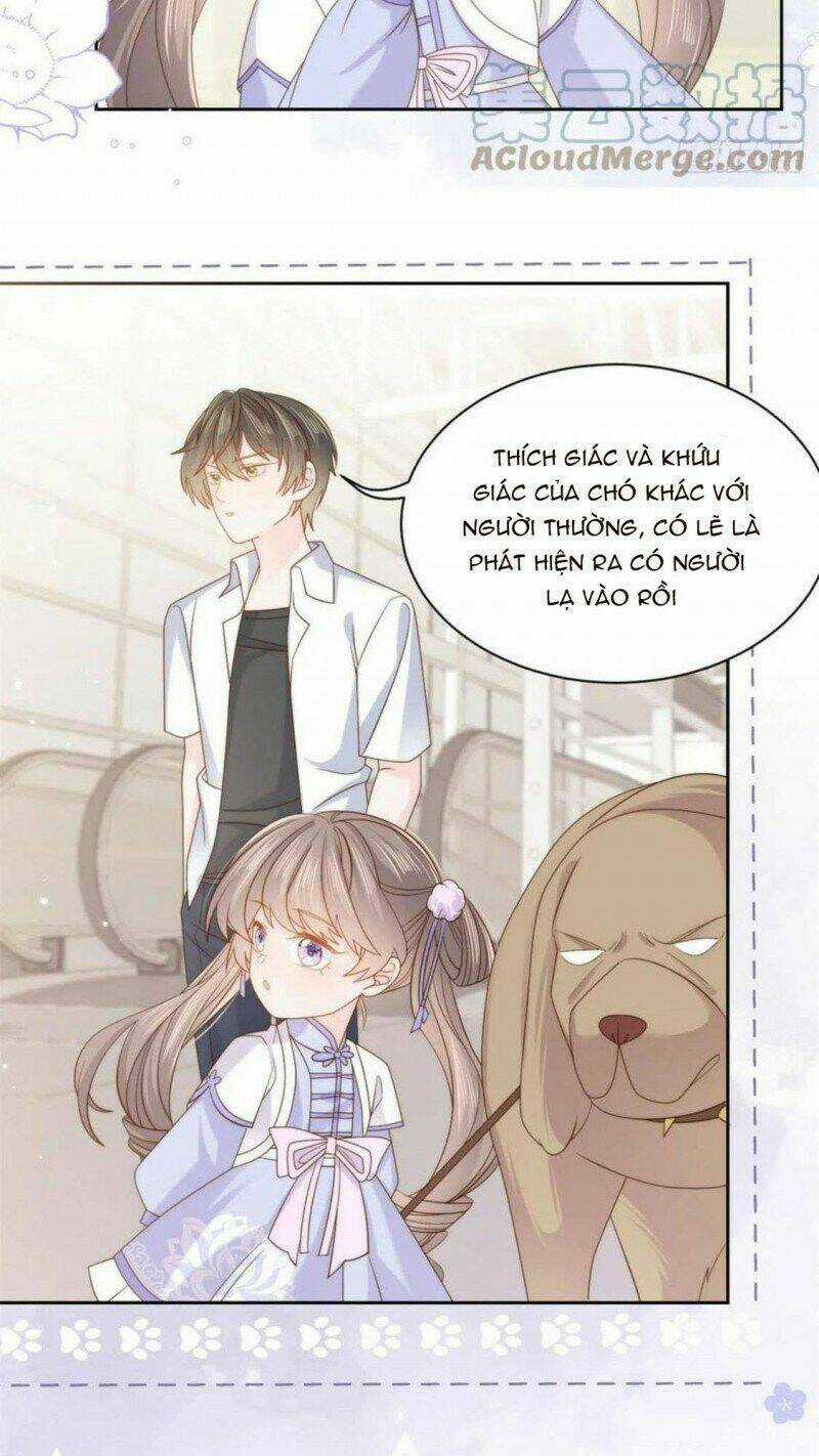 Cưng Chiều Đại Lão 3 Tuổi Rưỡi Chapter 181 trang 6