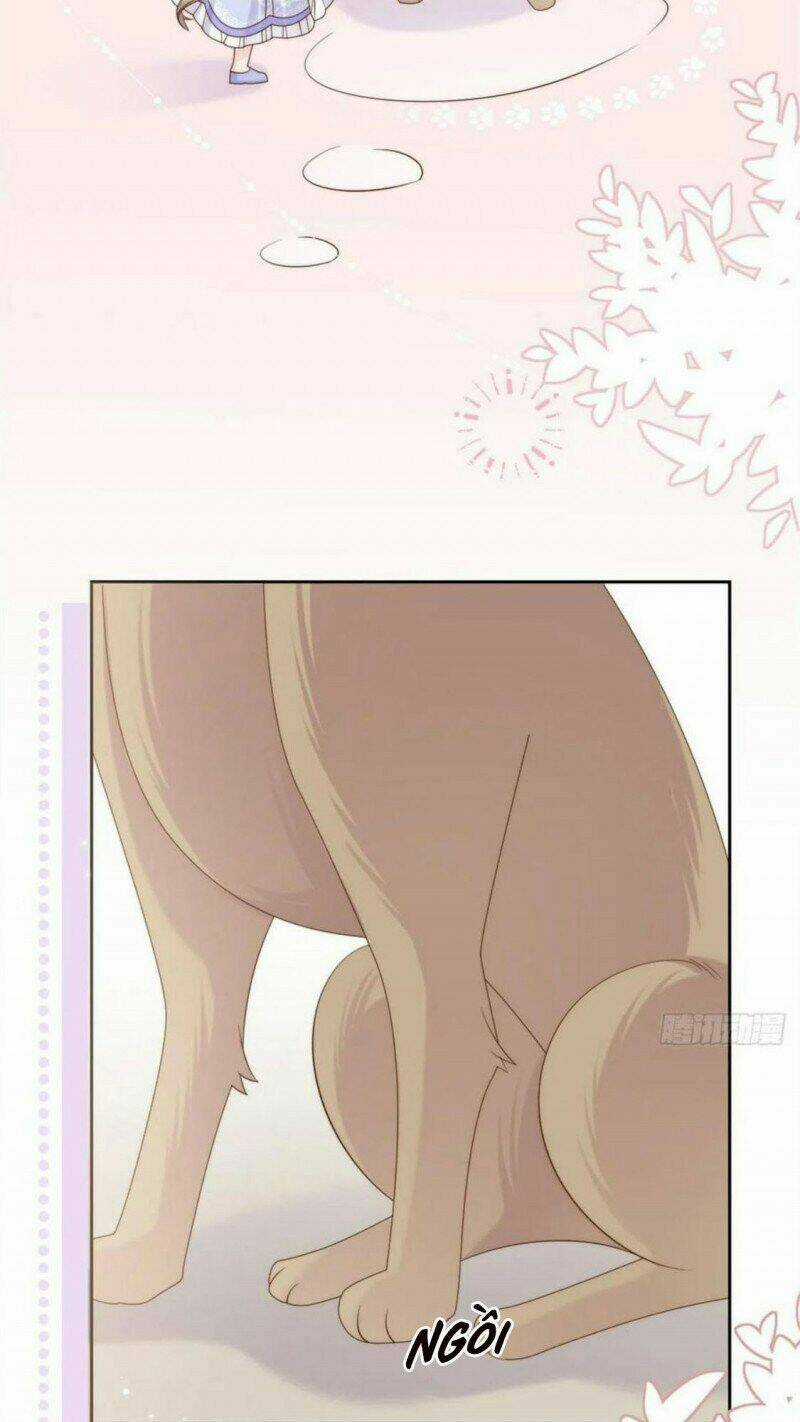 Cưng Chiều Đại Lão 3 Tuổi Rưỡi Chapter 182 trang 17