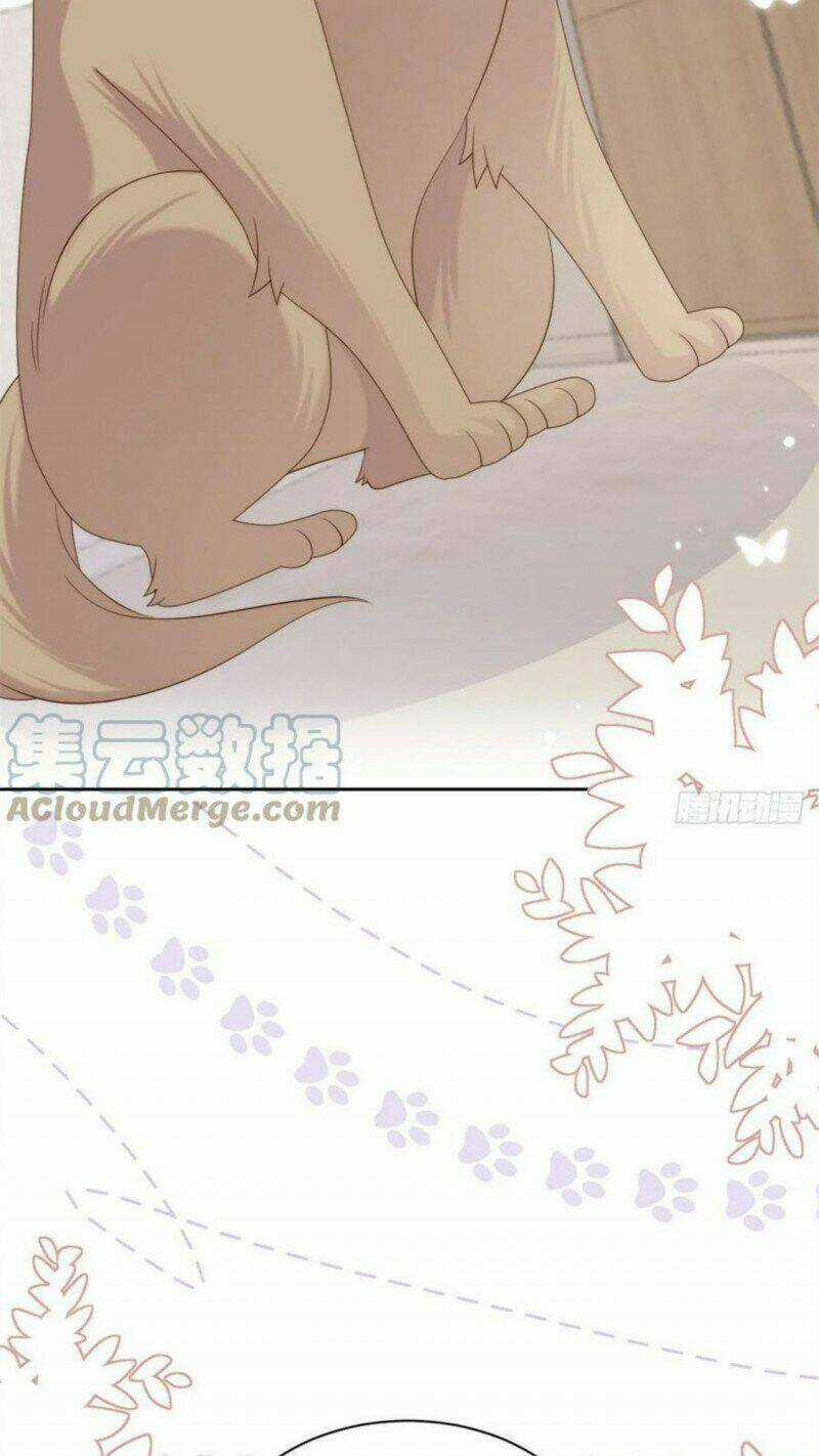 Cưng Chiều Đại Lão 3 Tuổi Rưỡi Chapter 182 trang 19