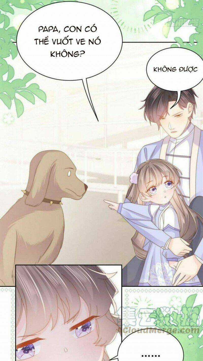 Cưng Chiều Đại Lão 3 Tuổi Rưỡi Chapter 182 trang 4