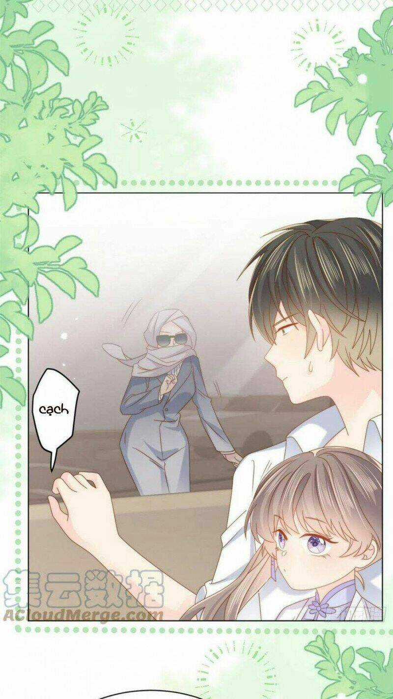 Cưng Chiều Đại Lão 3 Tuổi Rưỡi Chapter 186 trang 13