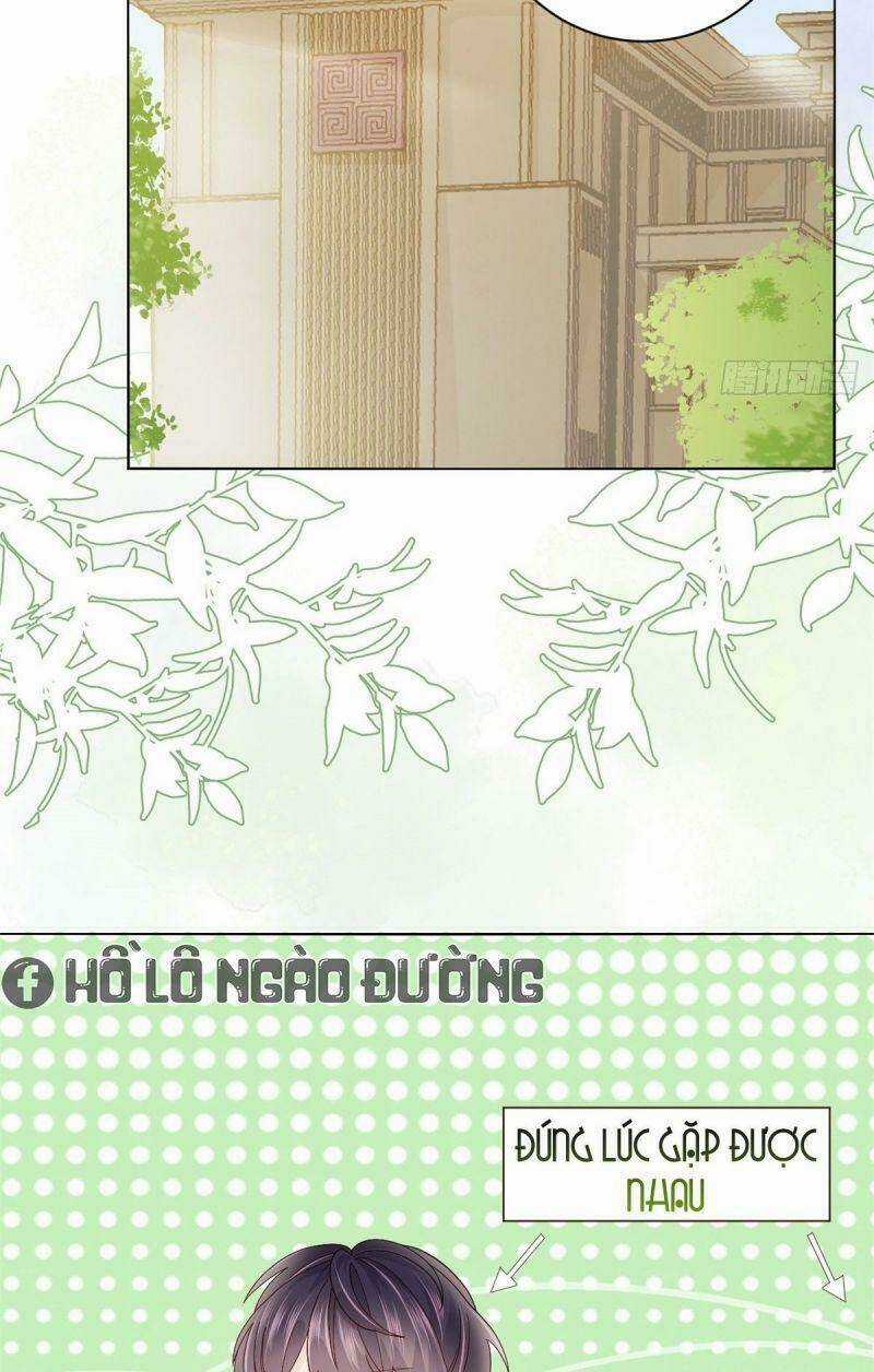 Cưng Chiều Đại Lão 3 Tuổi Rưỡi Chapter 19 trang 3