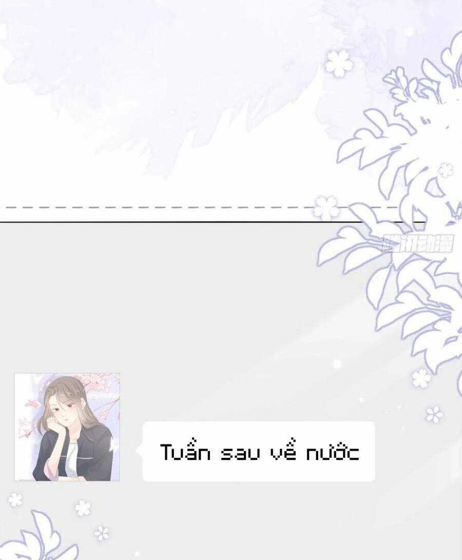 Cưng Chiều Đại Lão 3 Tuổi Rưỡi Chapter 192 trang 14