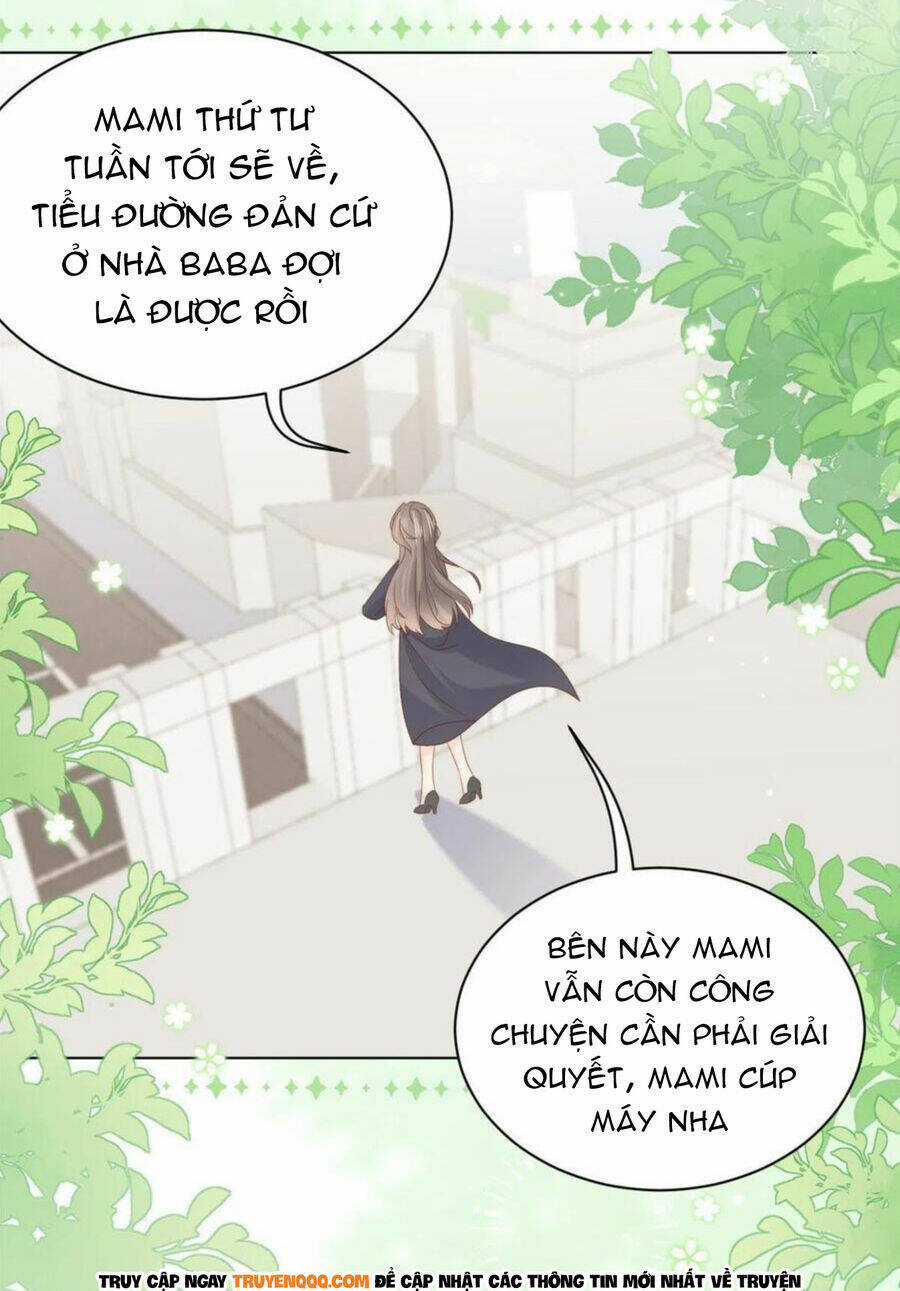 Cưng Chiều Đại Lão 3 Tuổi Rưỡi Chapter 194 trang 19