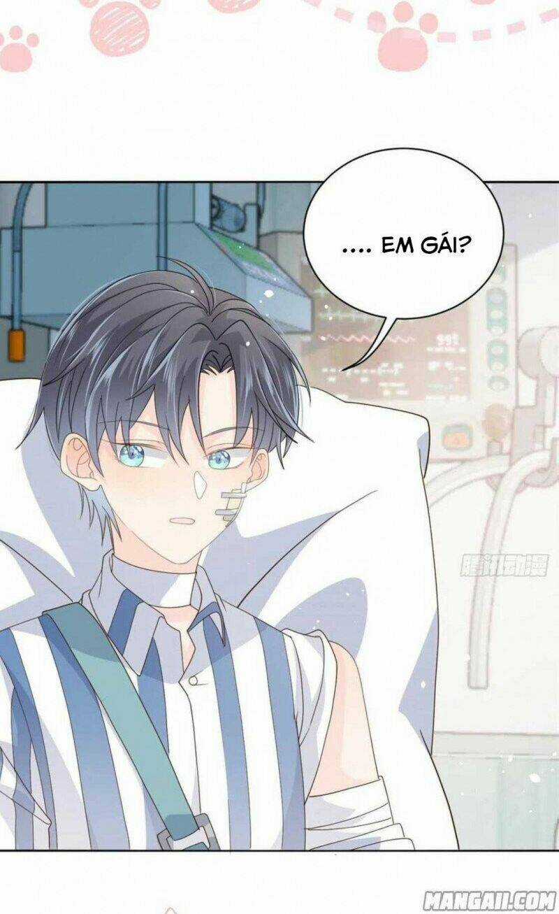 Cưng Chiều Đại Lão 3 Tuổi Rưỡi Chapter 39 trang 15