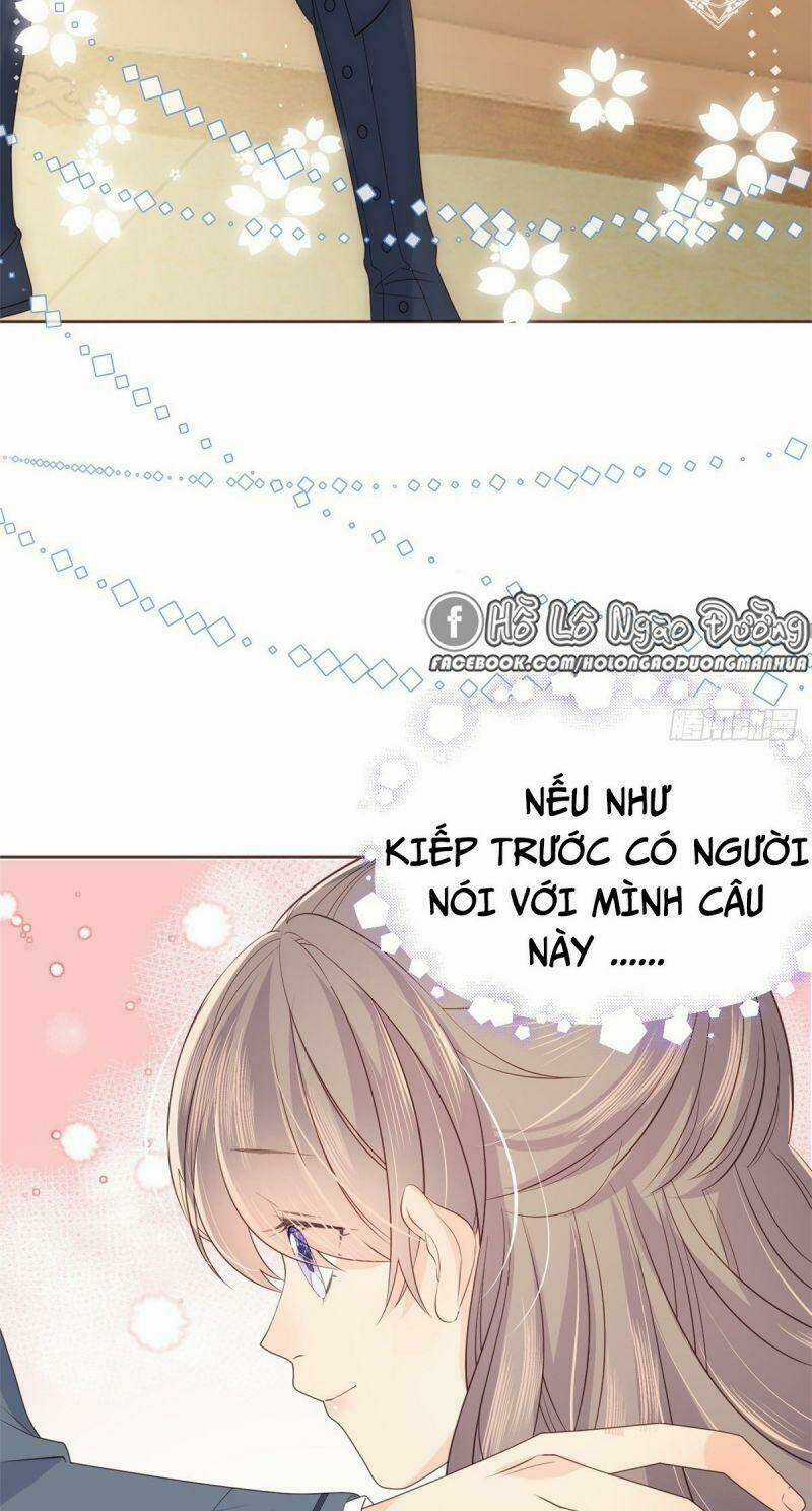 Cưng Chiều Đại Lão 3 Tuổi Rưỡi Chapter 4 trang 17