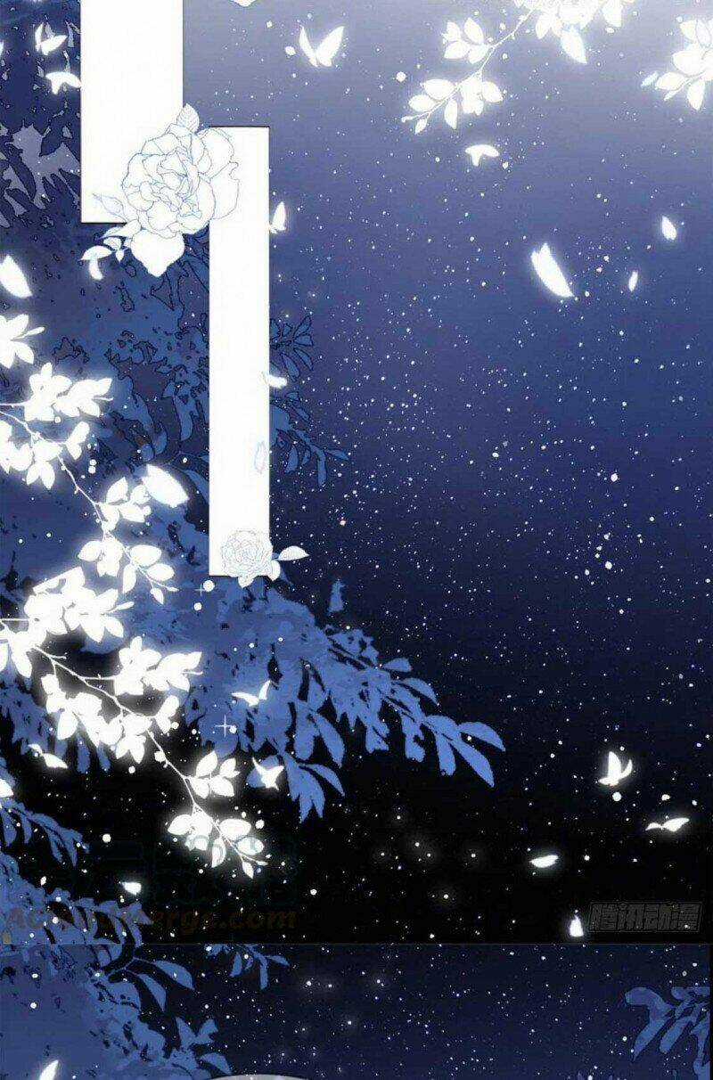 Cưng Chiều Đại Lão 3 Tuổi Rưỡi Chapter 42 trang 11