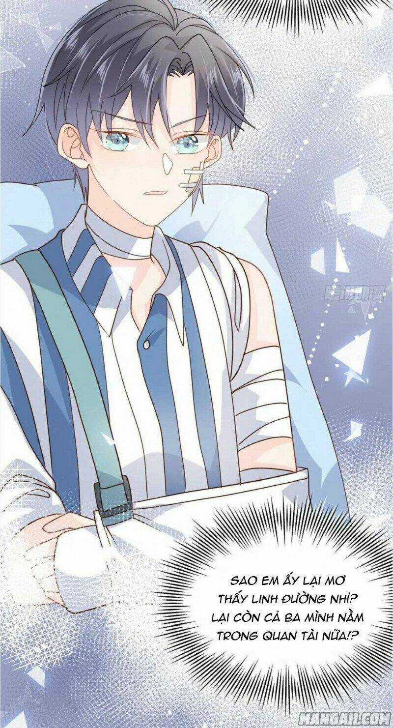 Cưng Chiều Đại Lão 3 Tuổi Rưỡi Chapter 47 trang 15