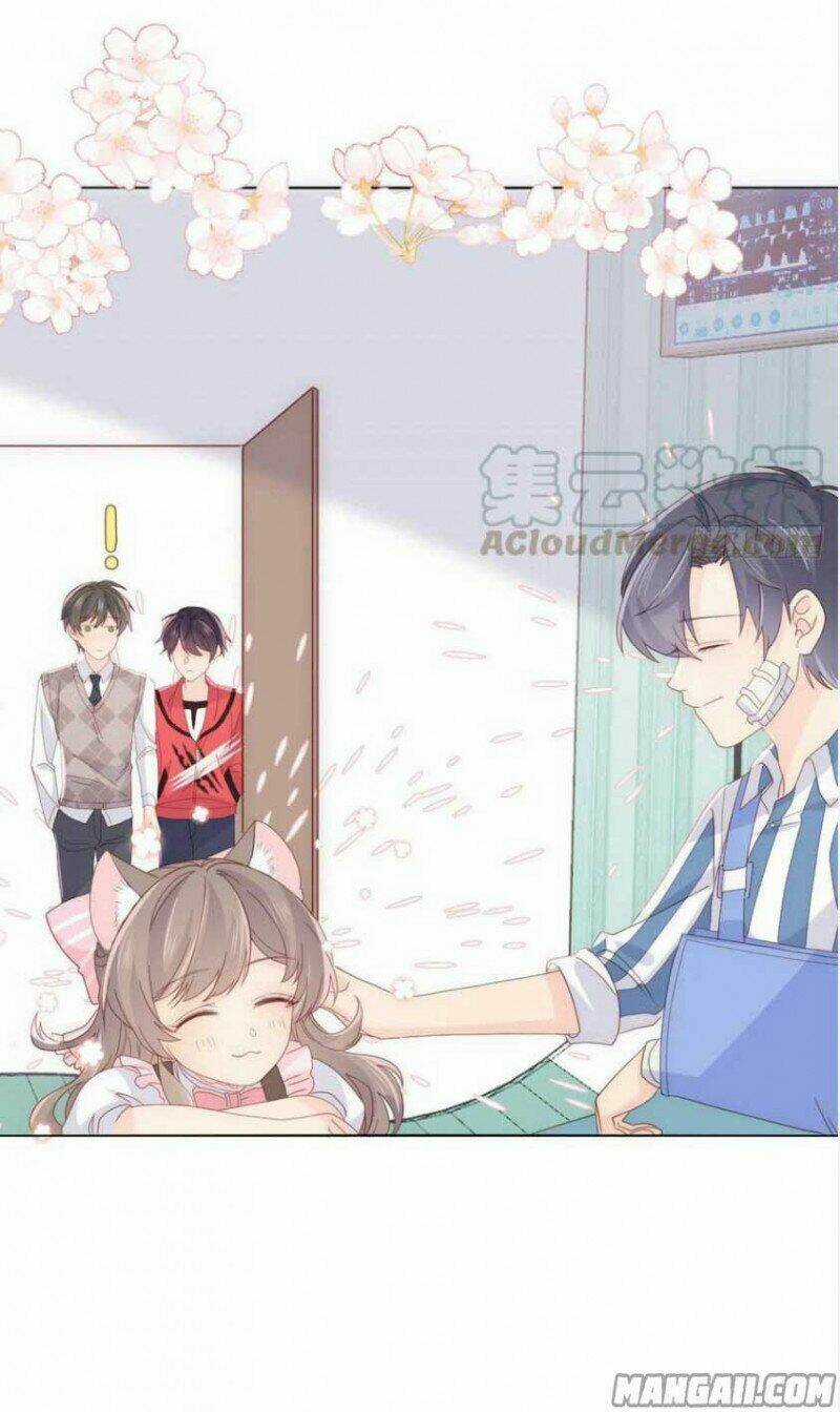 Cưng Chiều Đại Lão 3 Tuổi Rưỡi Chapter 56 trang 15