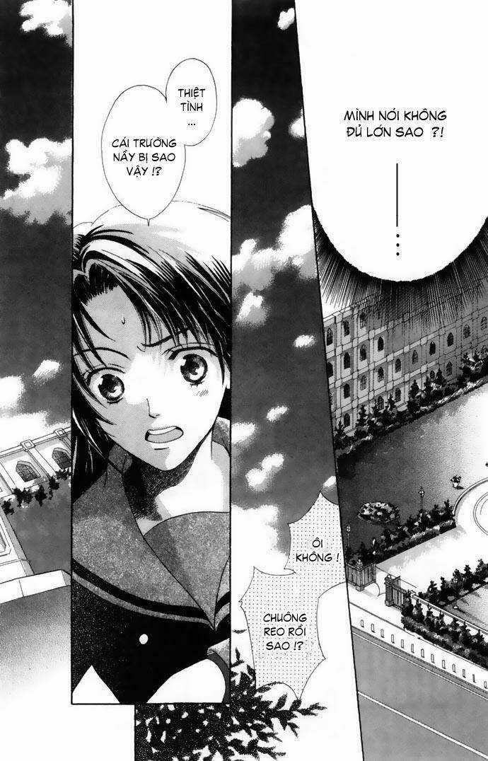 Cung Đàn Vàng Chapter 1 trang 13