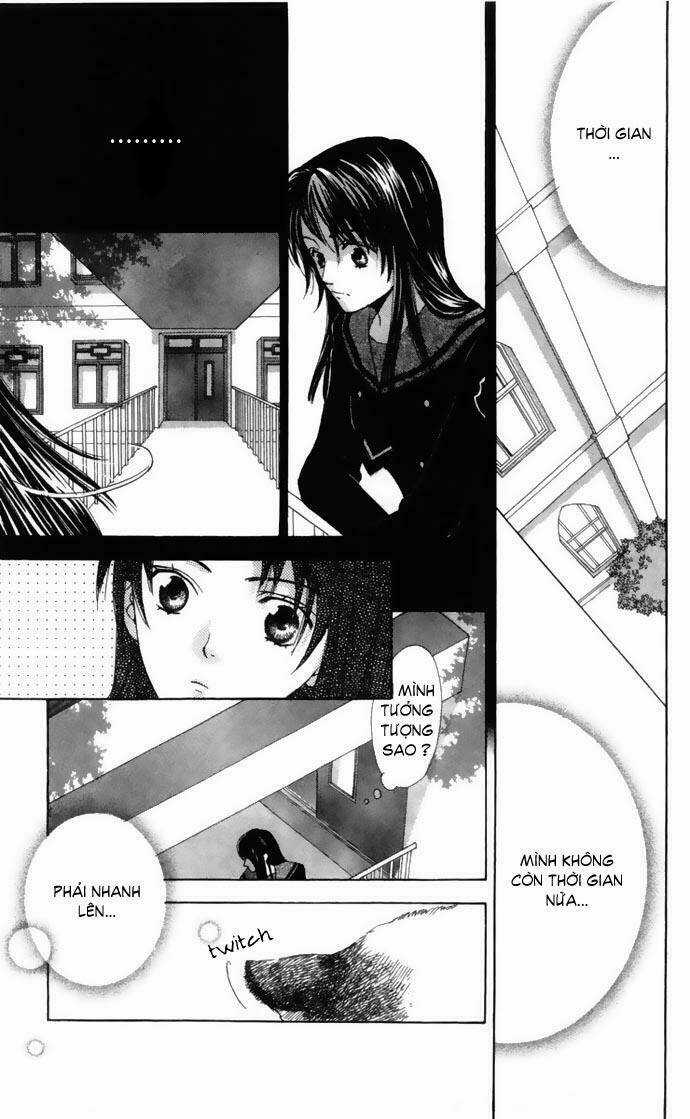 Cung Đàn Vàng Chapter 1 trang 32