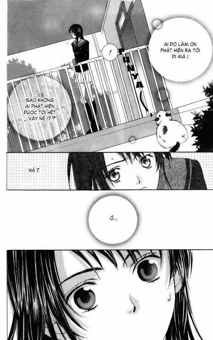 Cung Đàn Vàng Chapter 1 trang 33