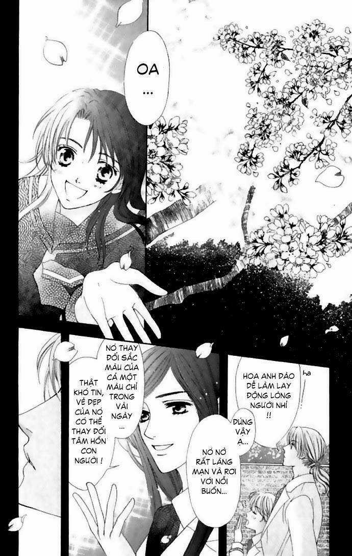 Cung Đàn Vàng Chapter 5 trang 29