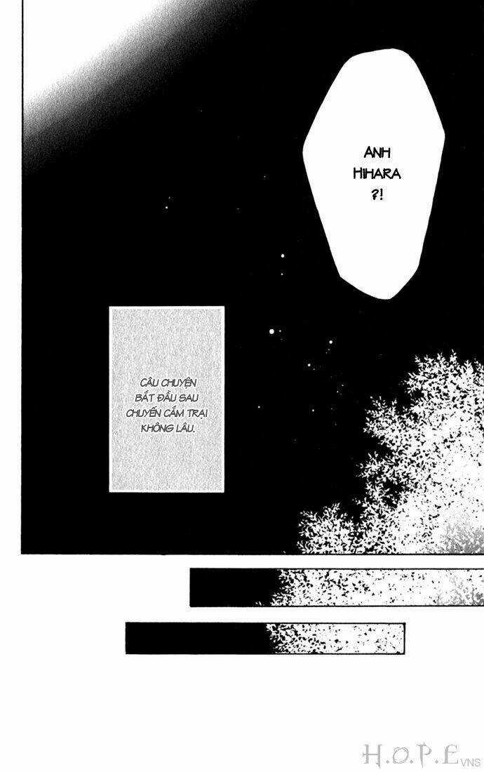 Cung Đàn Vàng Chapter 50 trang 8