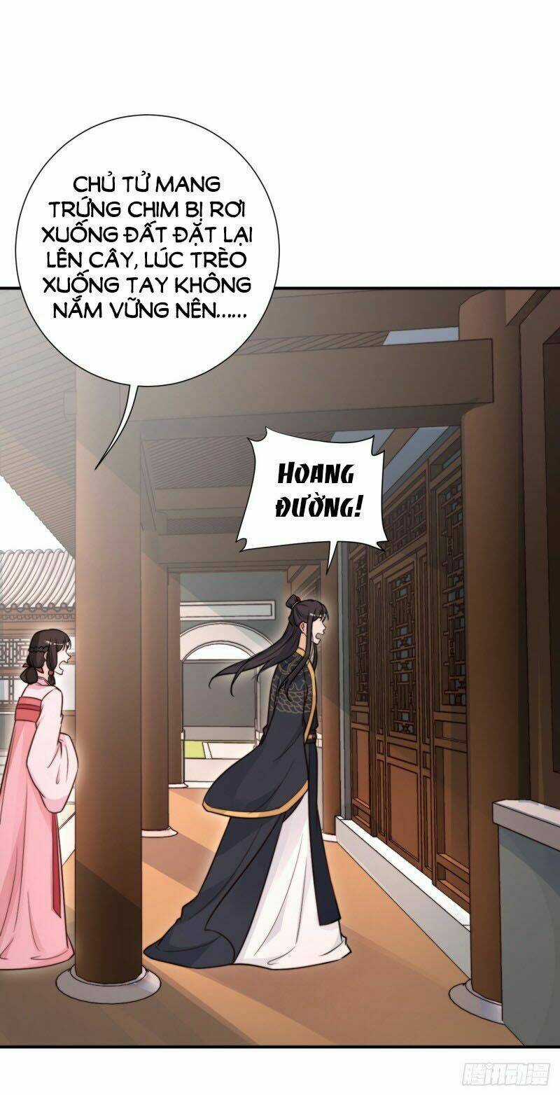 Cung Đấu Live Chapter 25 trang 13