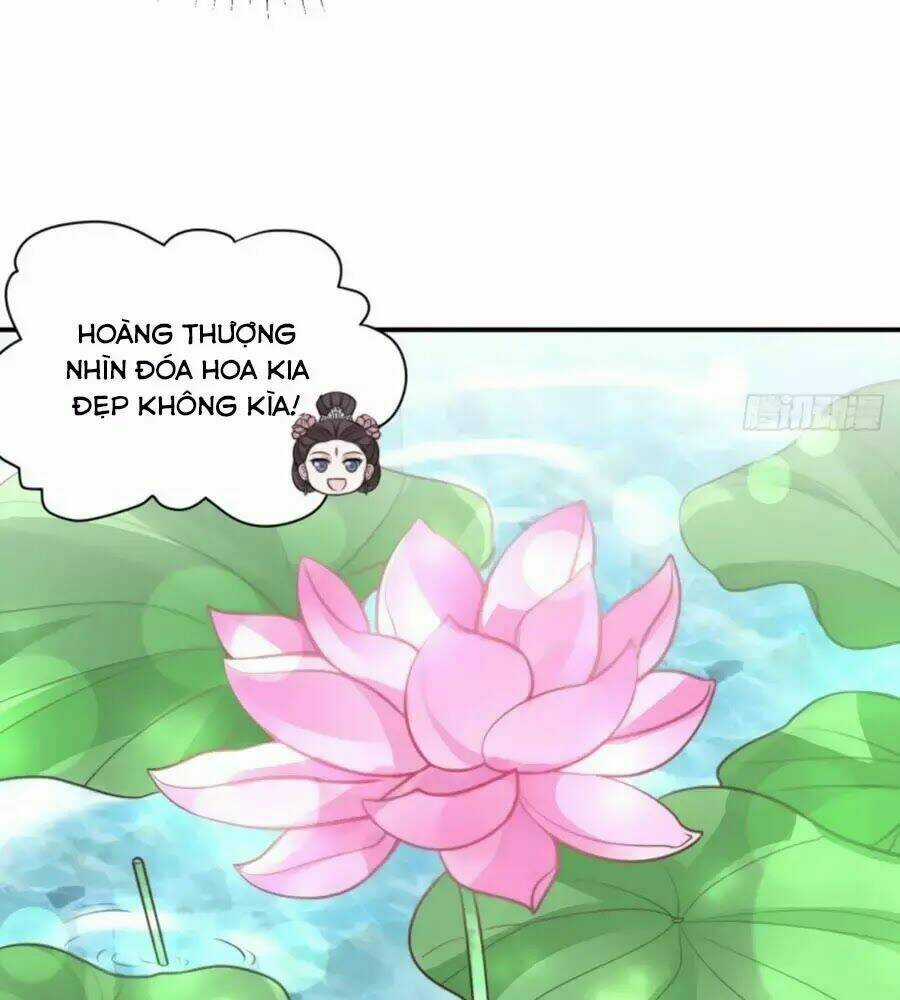 Cung Đấu Live Chapter 38 trang 46