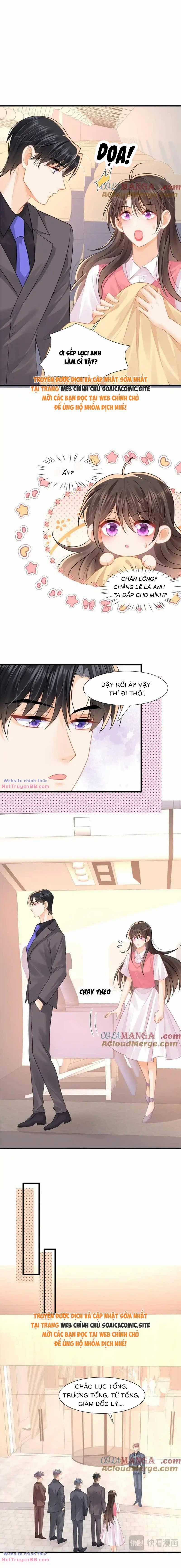 Cùng Lục Gia Yêu Đương Vụng Trộm Món quà ý nghĩa nhất cho người thân yêu Chapter 61 trang 4